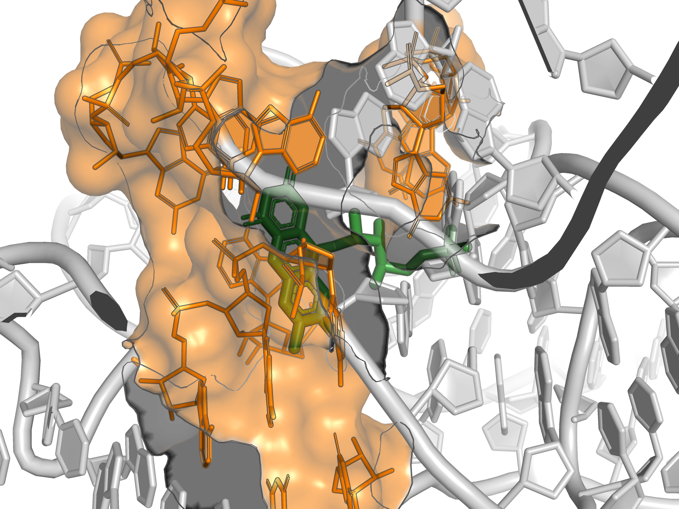 The real FMN drug (green) sitting inside the pocket our pipeline detected (orange) from the ligand-free apo structure.